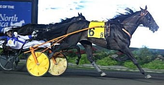 Lindy The Great just that in Maple Leaf Trot