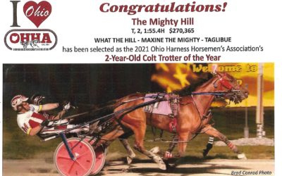 The Mighty Hill named Ohio 2-year-old Trotting Colt of the Year