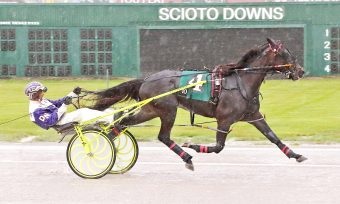 Pappardelle captures the $30,000 Kevin Greenfield Final at Scioto Downs
